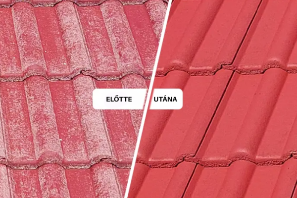 DACH-BRISS-FLEGEN+ Színezett impregnáló beton cseréphez