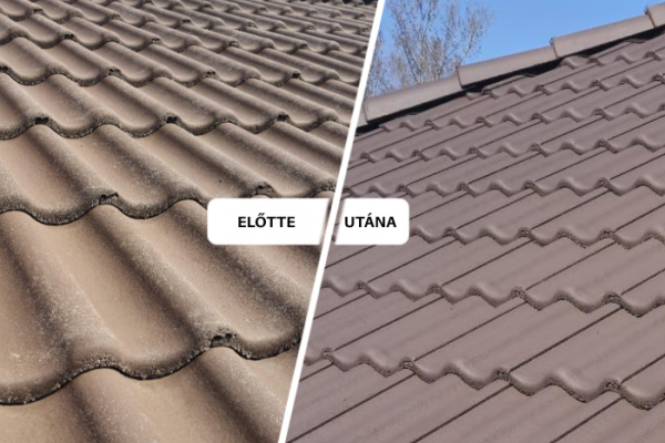 DACH-BRISS-FLEGEN+ Színezett impregnáló beton cseréphez